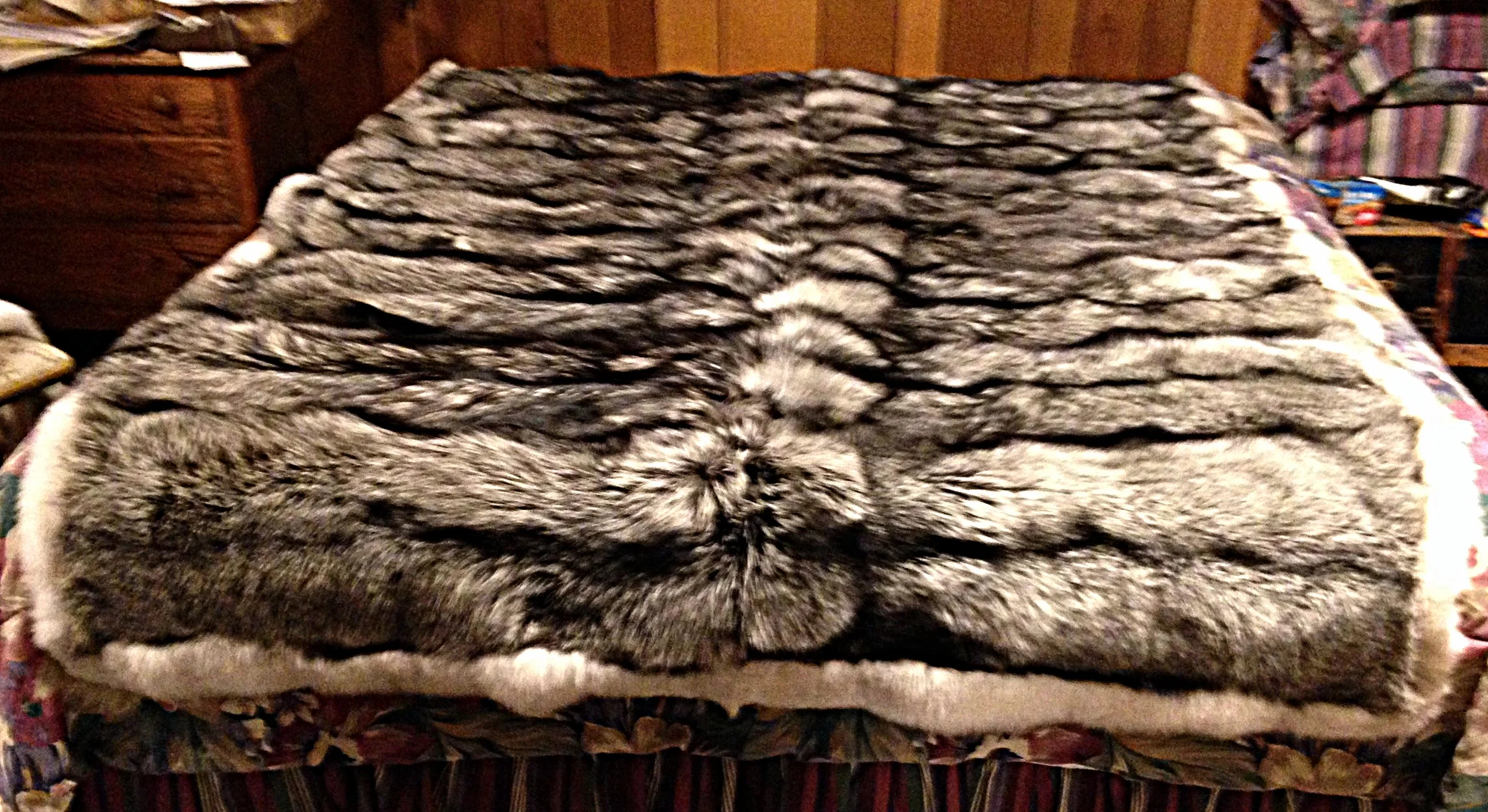 Silver Fox with blue fox trim Blanket