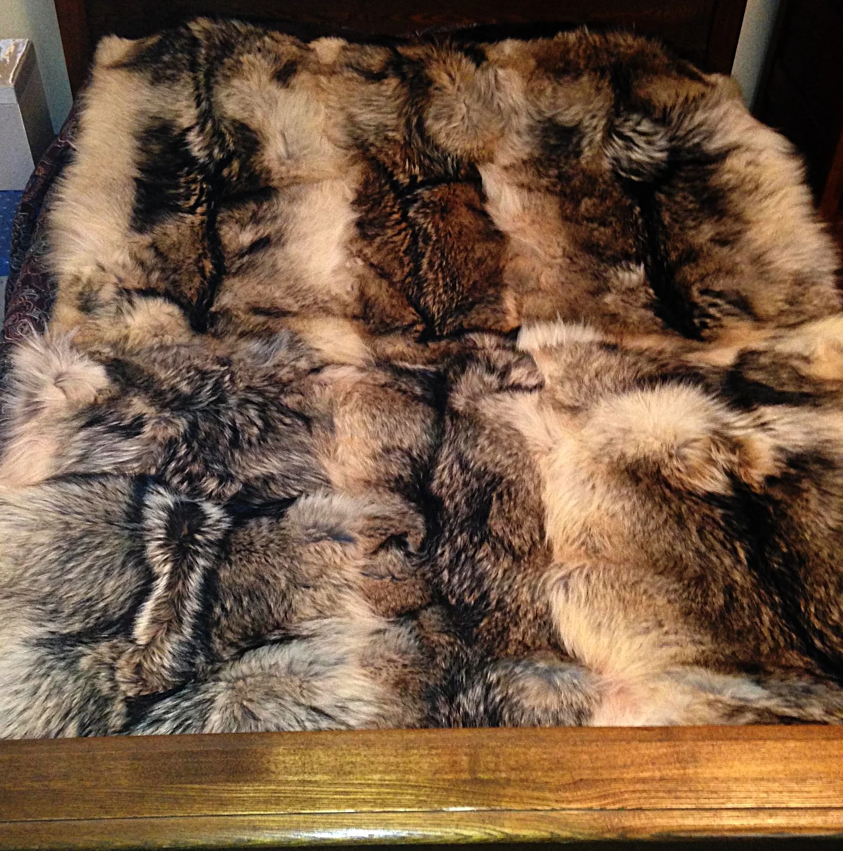 Wolf Blanket Comforter