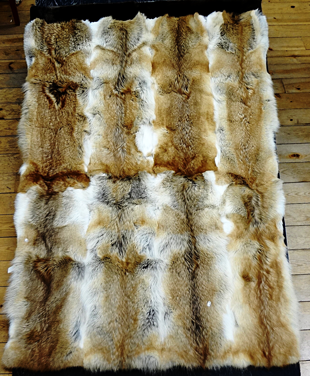 Coyote Blanket Comforter