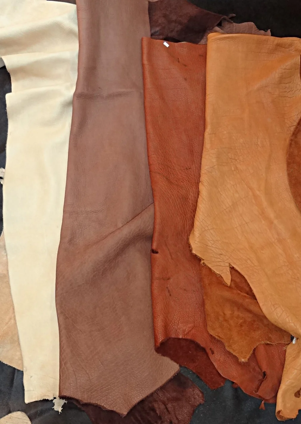 Leathers & Rawhides for Sale — Claw, Antler & Hide Co.