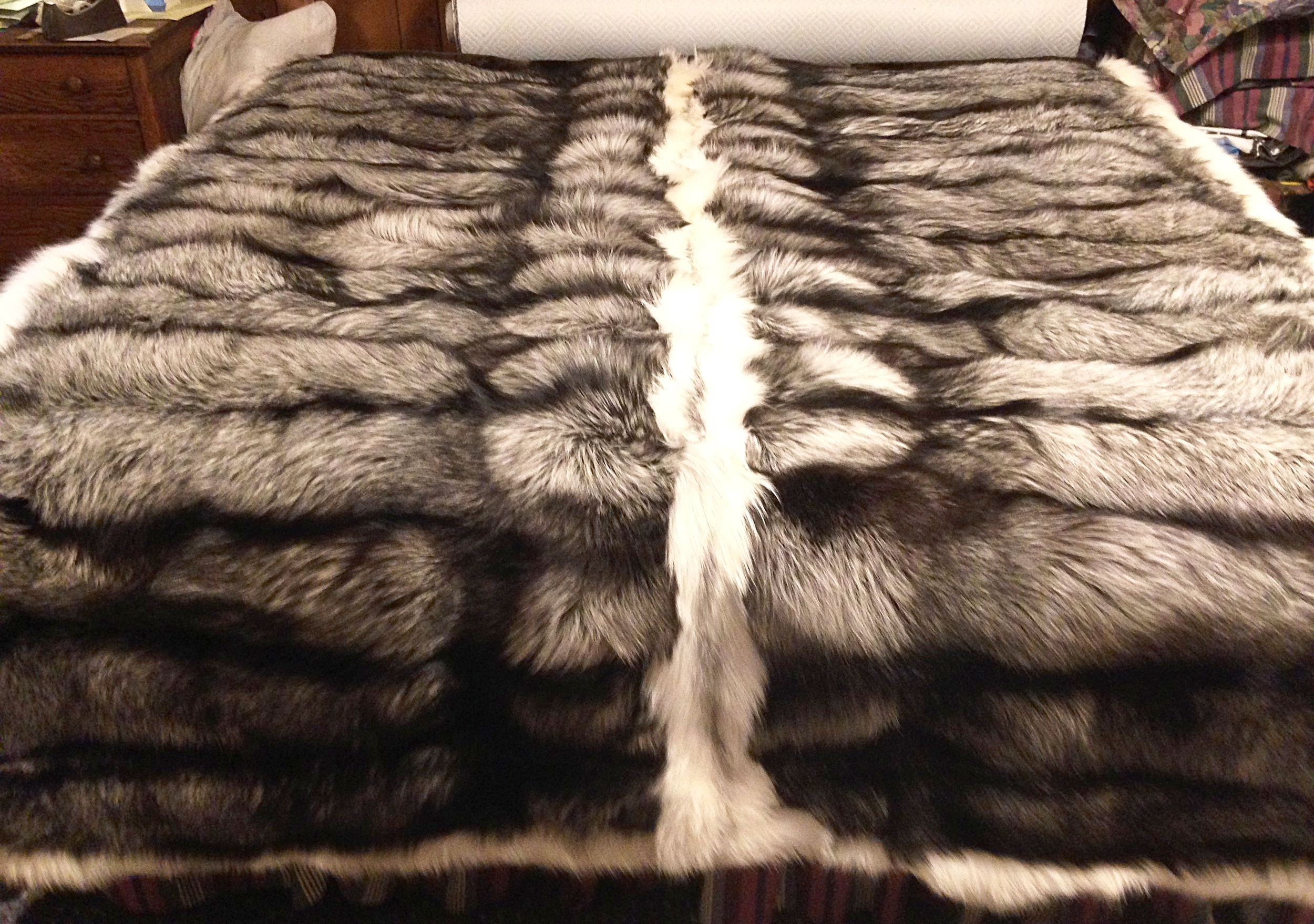 silver fox with marble.JPG