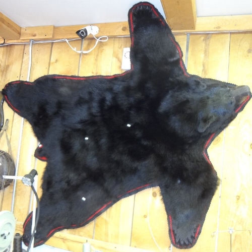 Fur Rugs Claw Antler Hide Co - How To Hang A Bear Skin Rug On The Wall