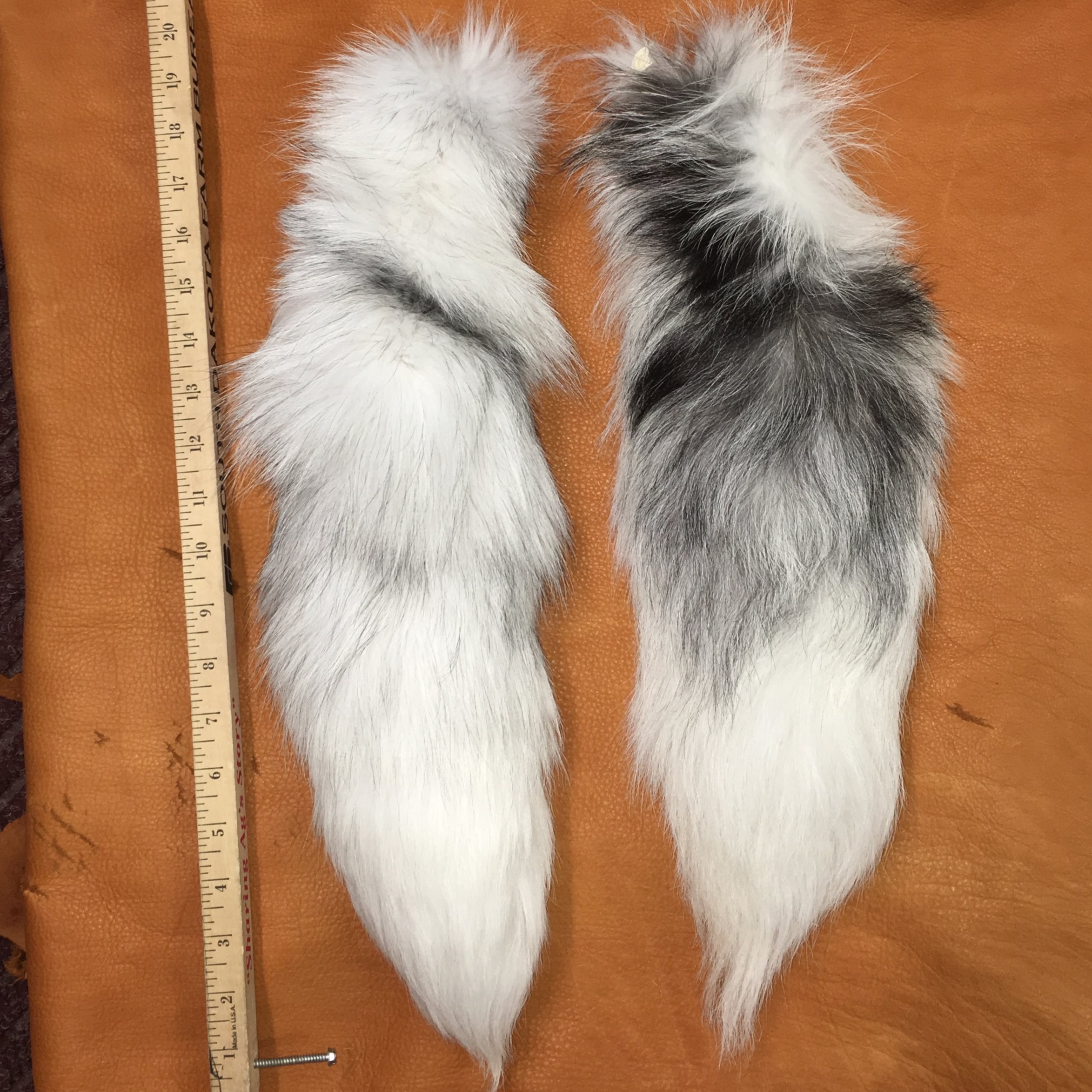 Wild Game Animal Tails for Sale — Claw, Antler & Hide Co.