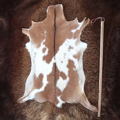 Example Goat Hide