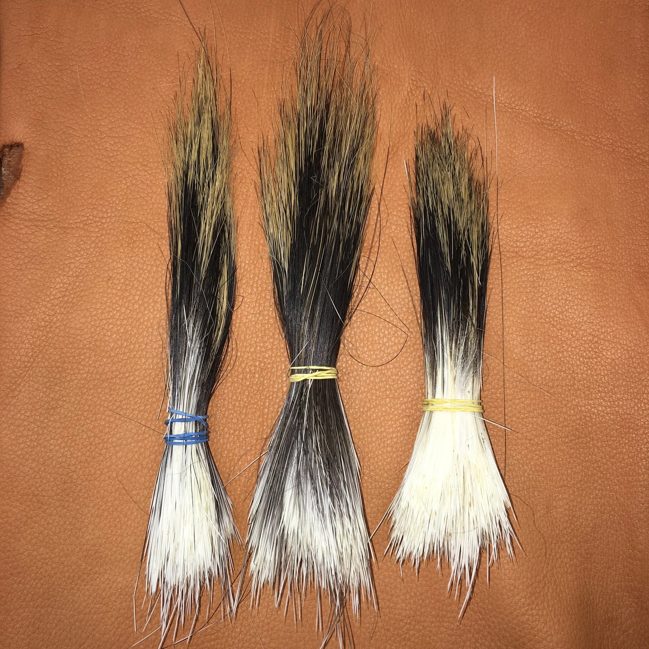 Porcupine Hair 5" to 9" and over