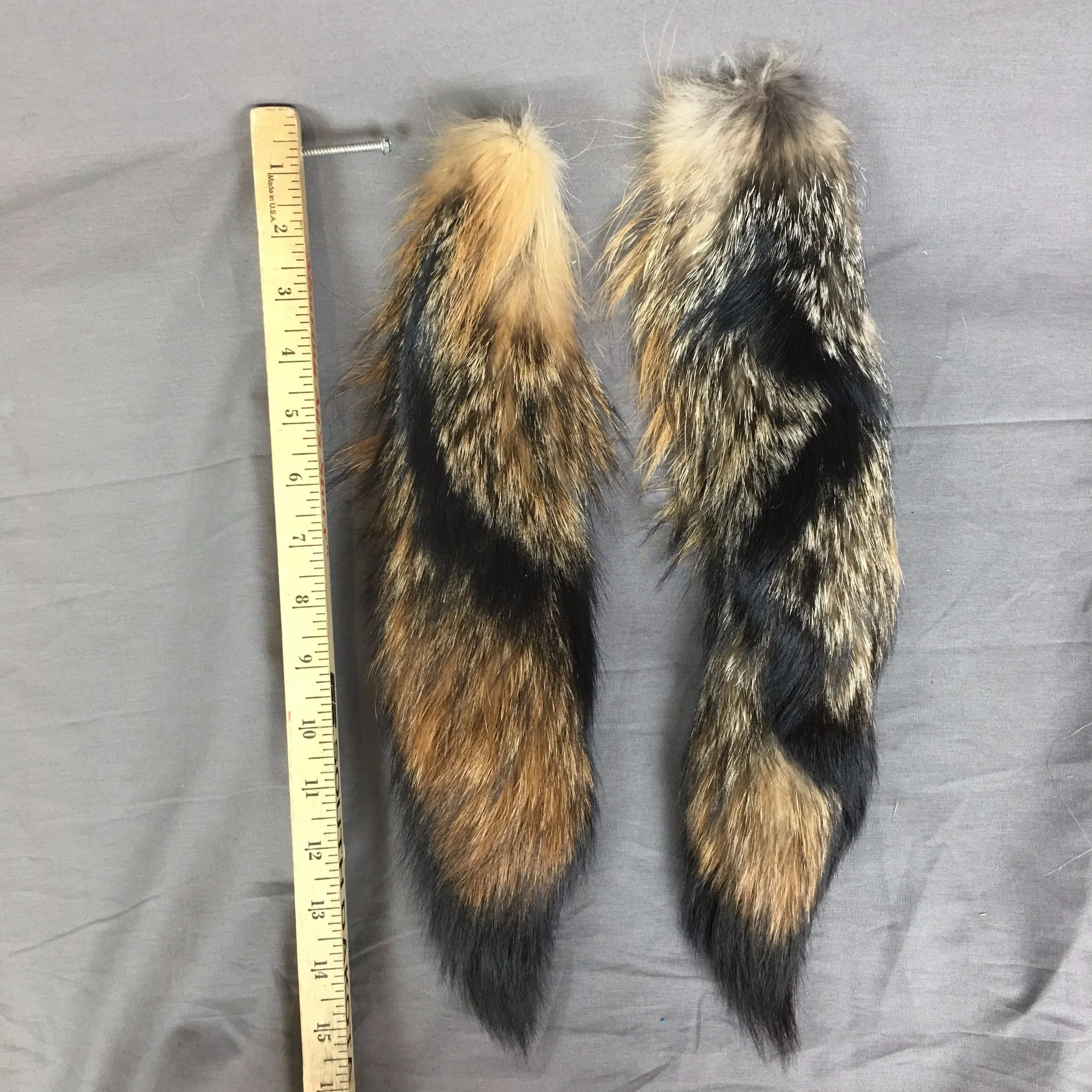 gray fox tail