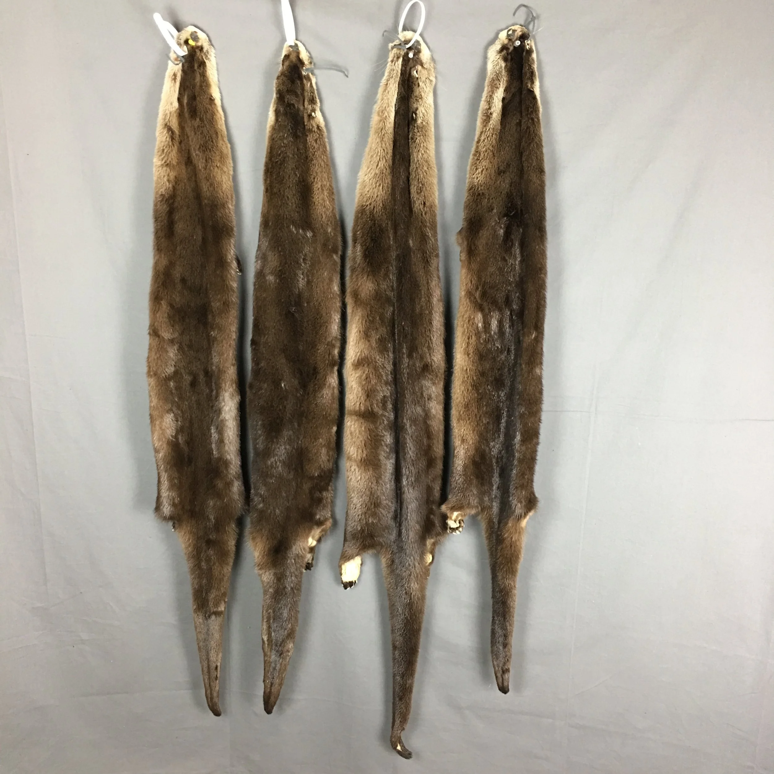 otter hide