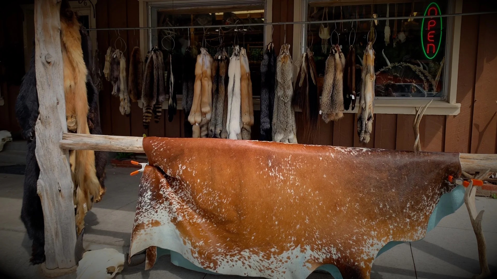 Outside Claw, Antler & Hide Company