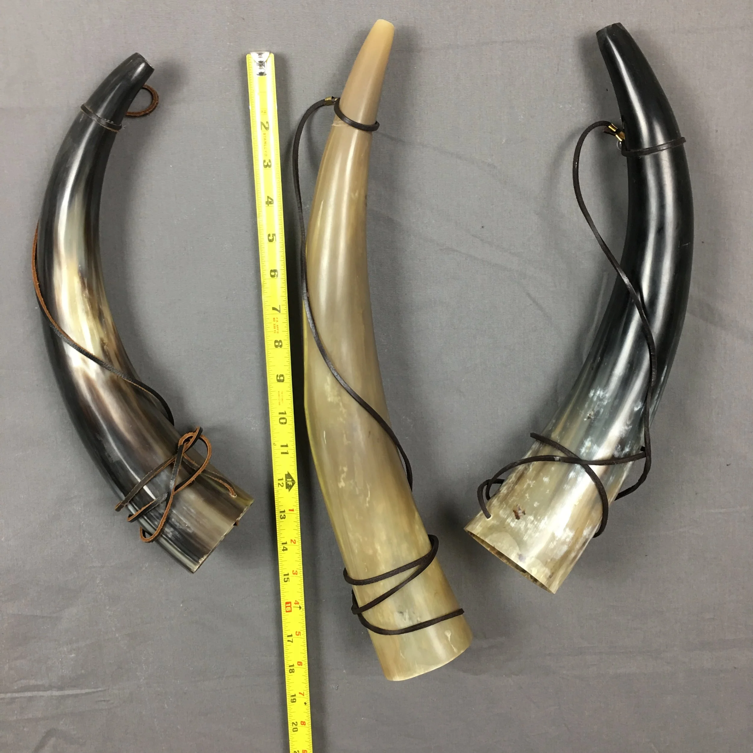 Antlers & Horns for Sale — Claw, Antler & Hide Co.