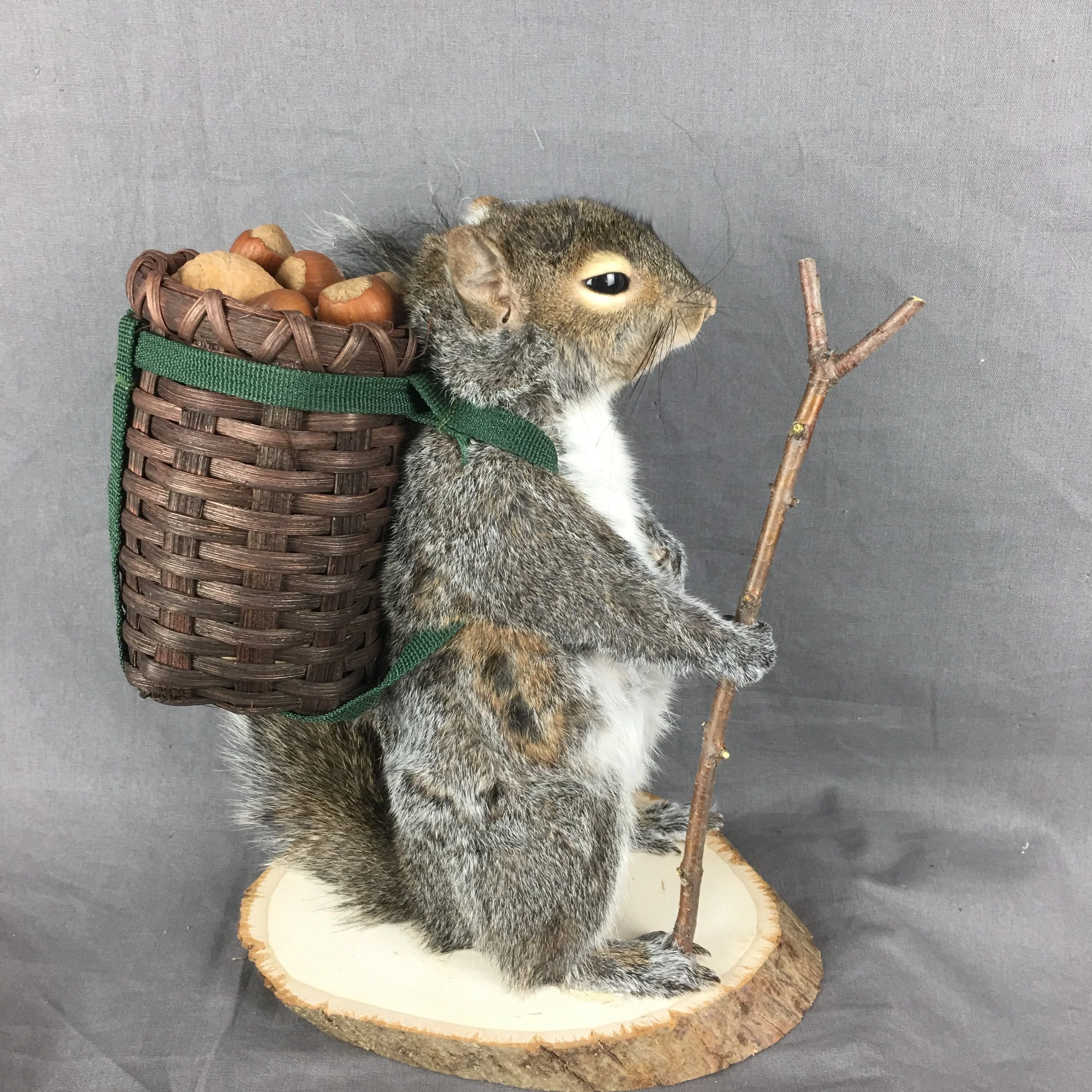 squirrel mount