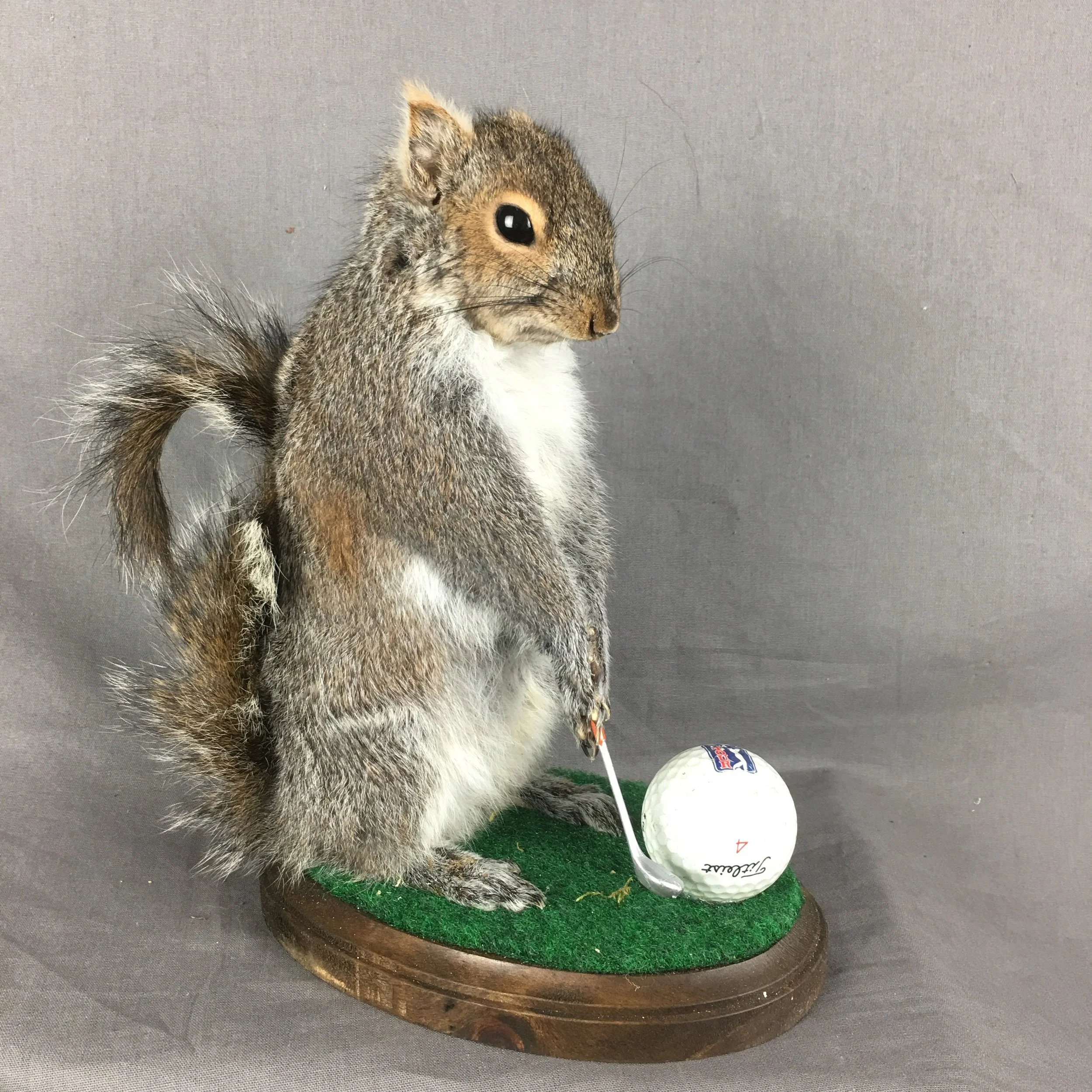 Squirrel Golfing Mount