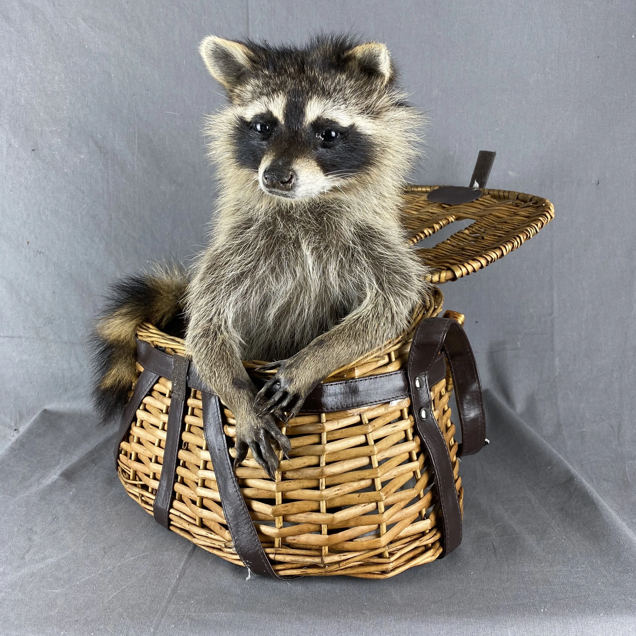 C8765598-AB67-4166-A015-C5B35EF7E605