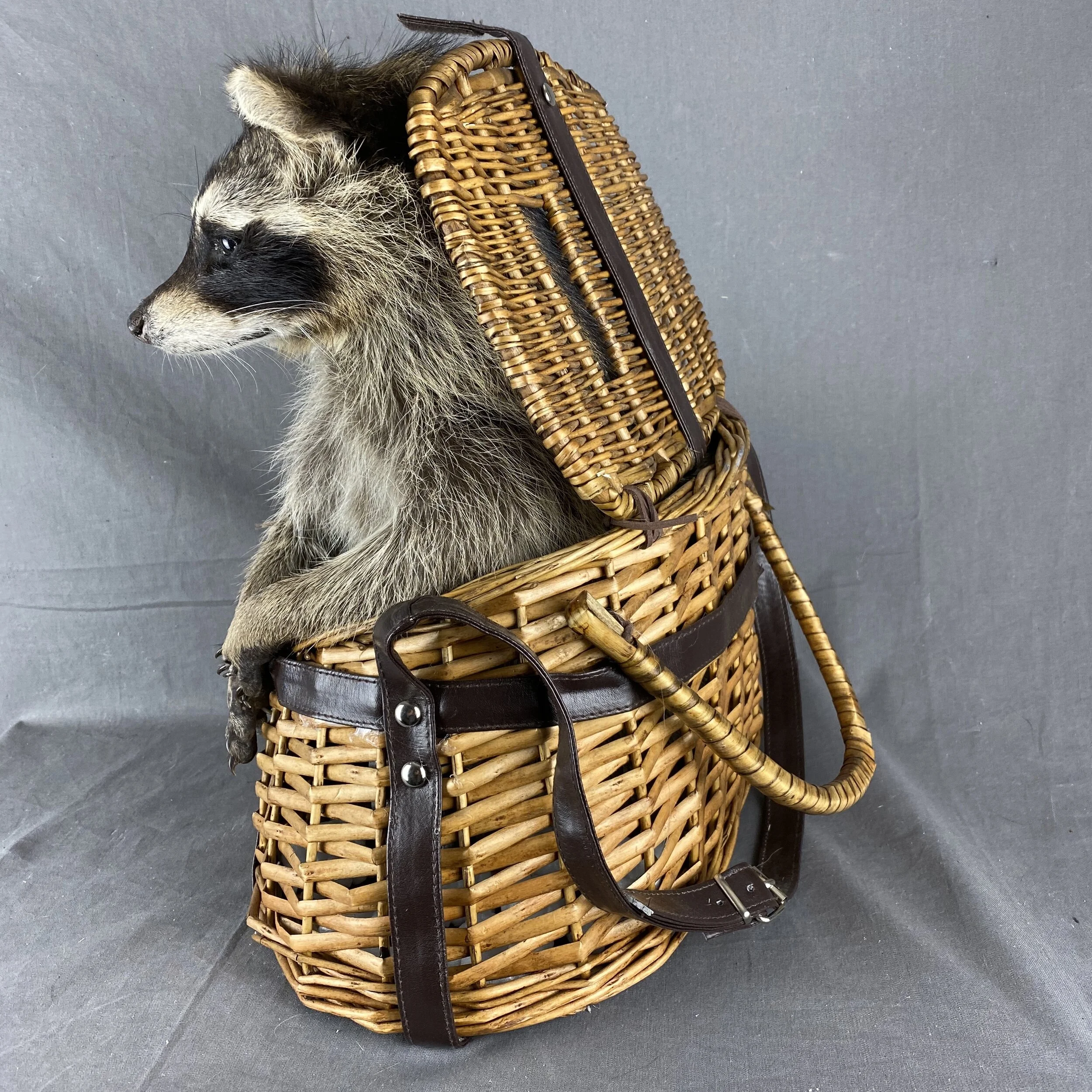 EFEC2381-3E9D-48FC-AEC3-0290362F0734