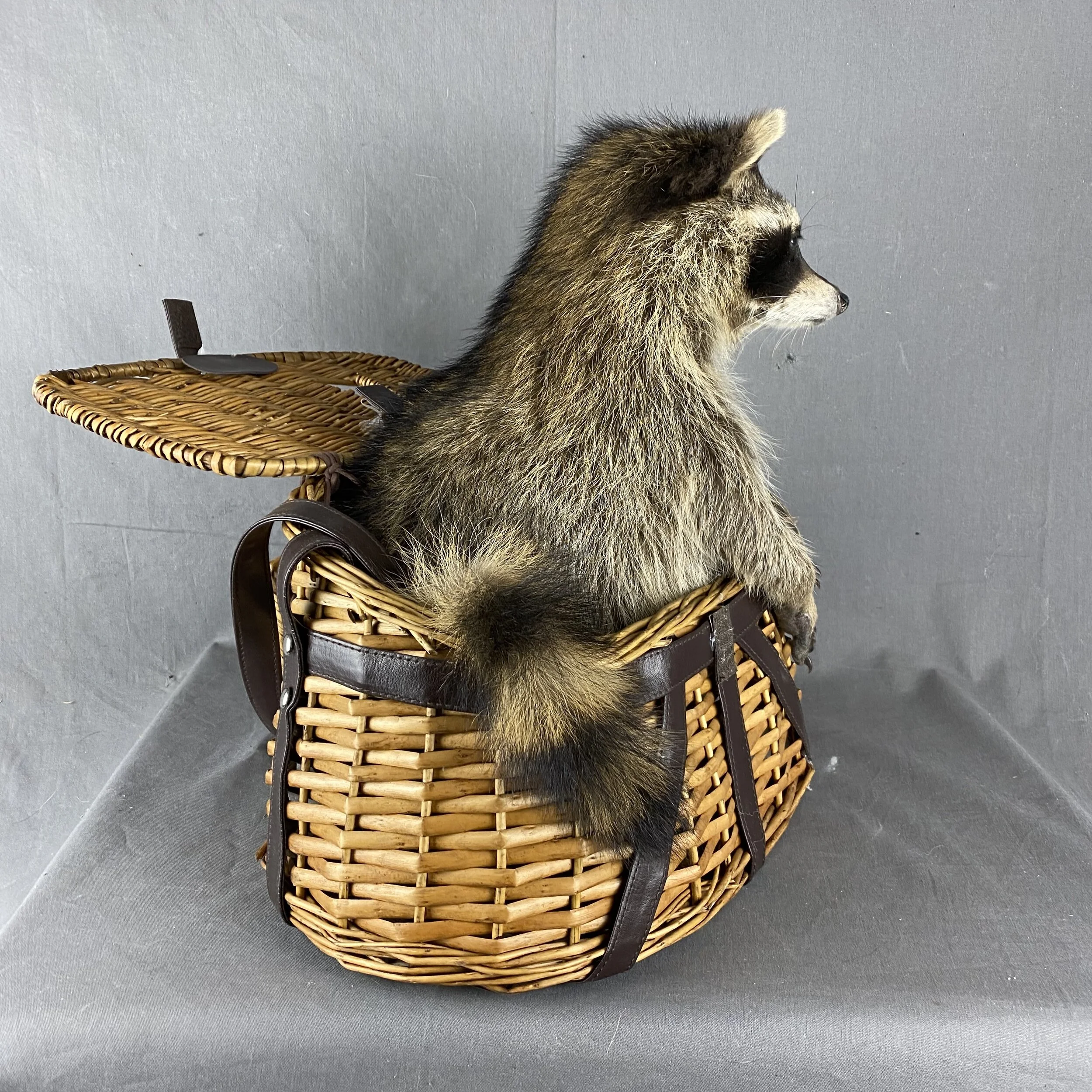 E72804BC-5437-4A5F-8C61-385596BBDC16