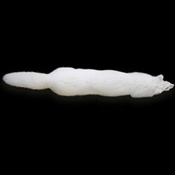 Coyote Foot Bone Bead — Claw, Antler & Hide Co.