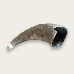 Horns