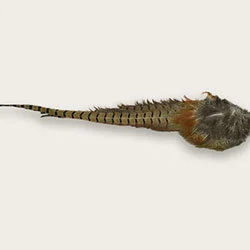 Pheasant Tail