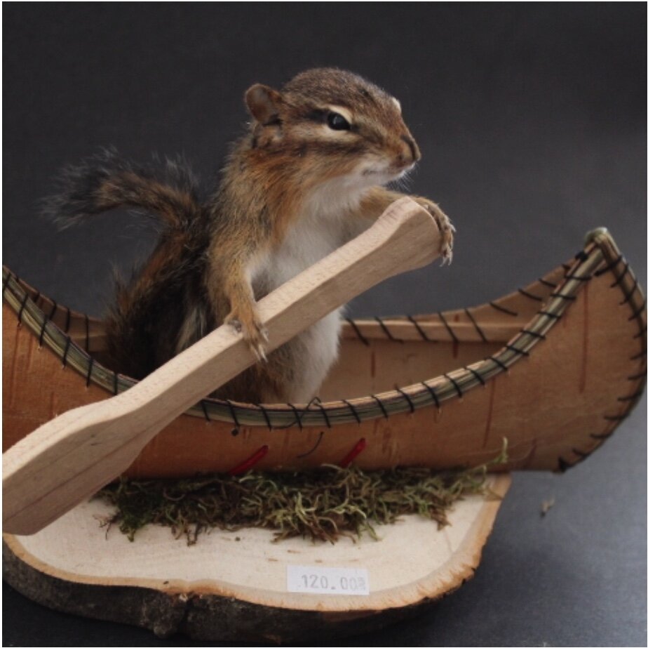Chipmunk Canoe Mount (Single)