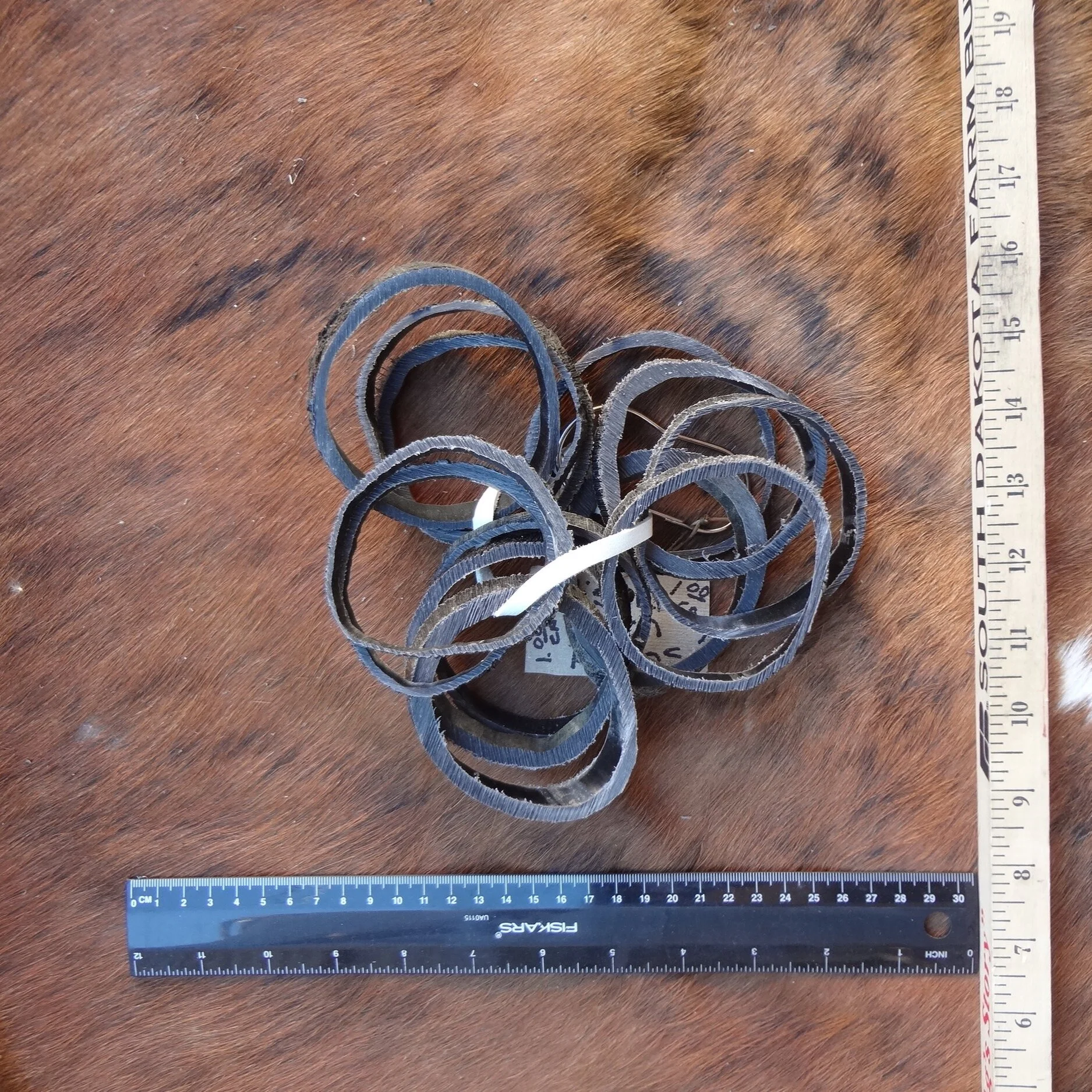 Buffalo Horn Ring