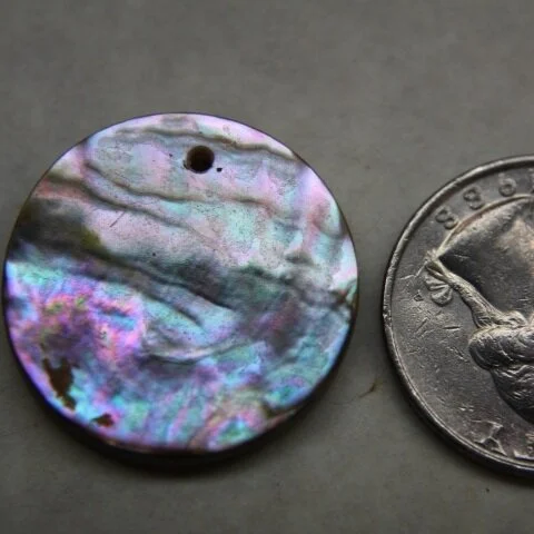 Abalone Disk 
