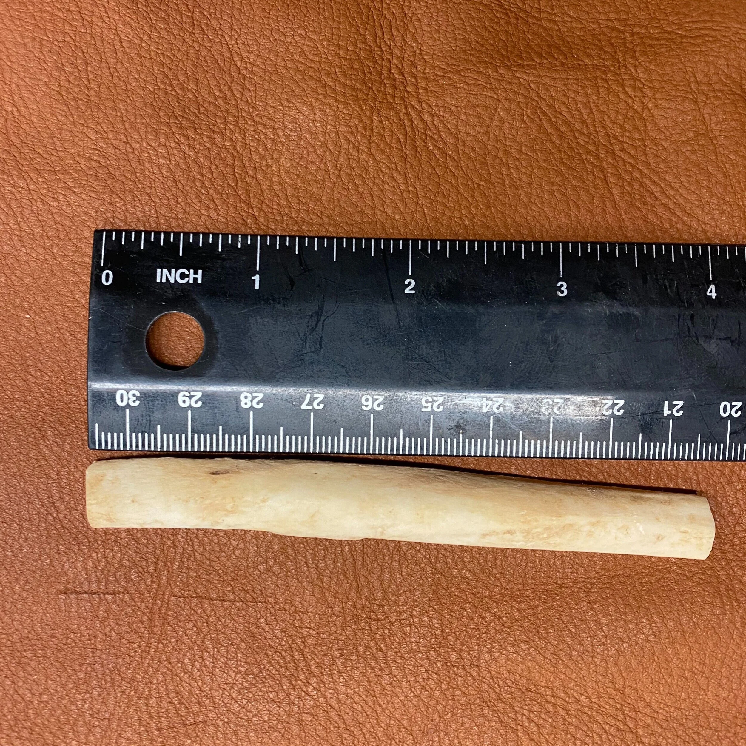 Coyote Leg Bone Beads
