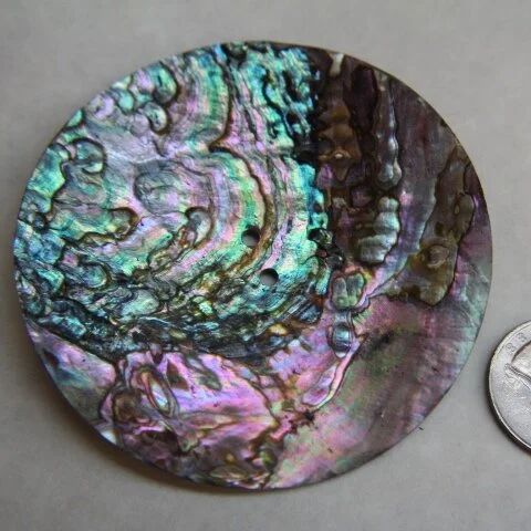 Abalone Disc 3"