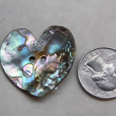 abalone-hear-disc-1.5