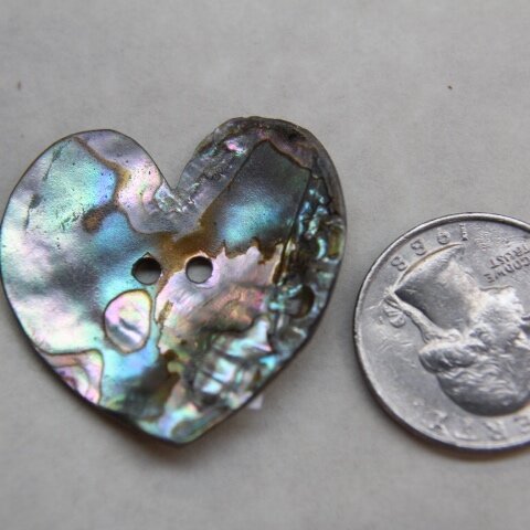Abalone Heart Disc 1.5"