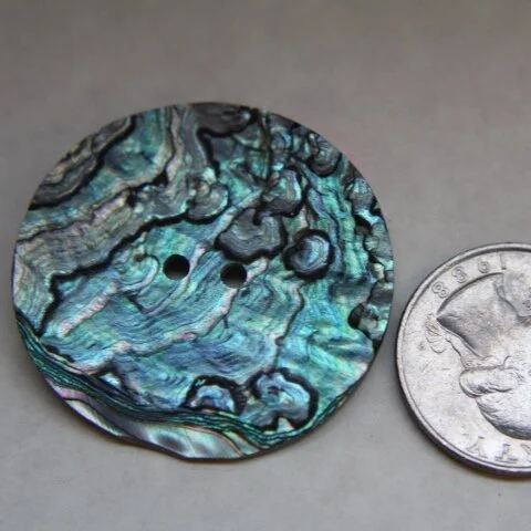 abalone-disc-1-25