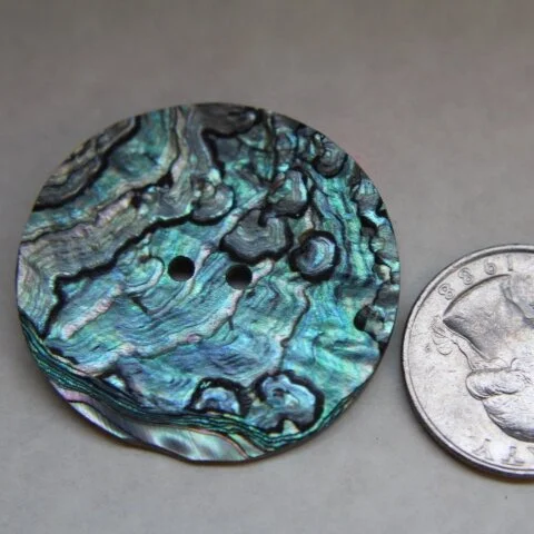 Abalone Disc 1.25"