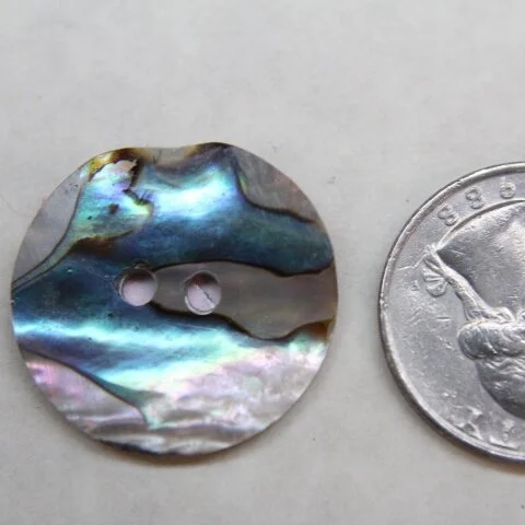 Abalone Disc
