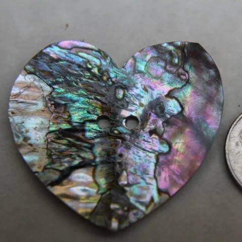 abalone heart disc 2.5 inches