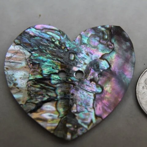 Abalone Heart Disc 2.5"
