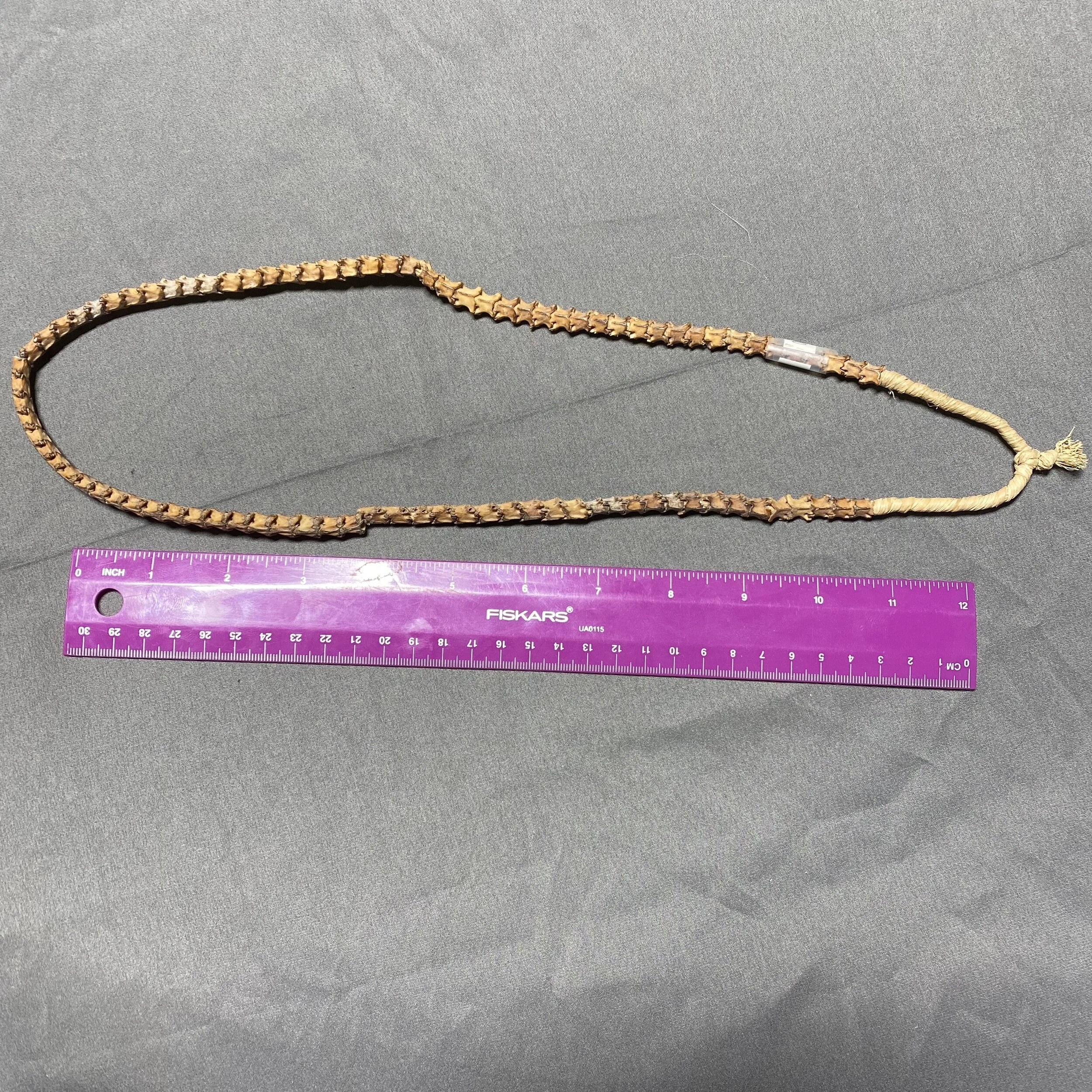 Snake Vertebra (String)