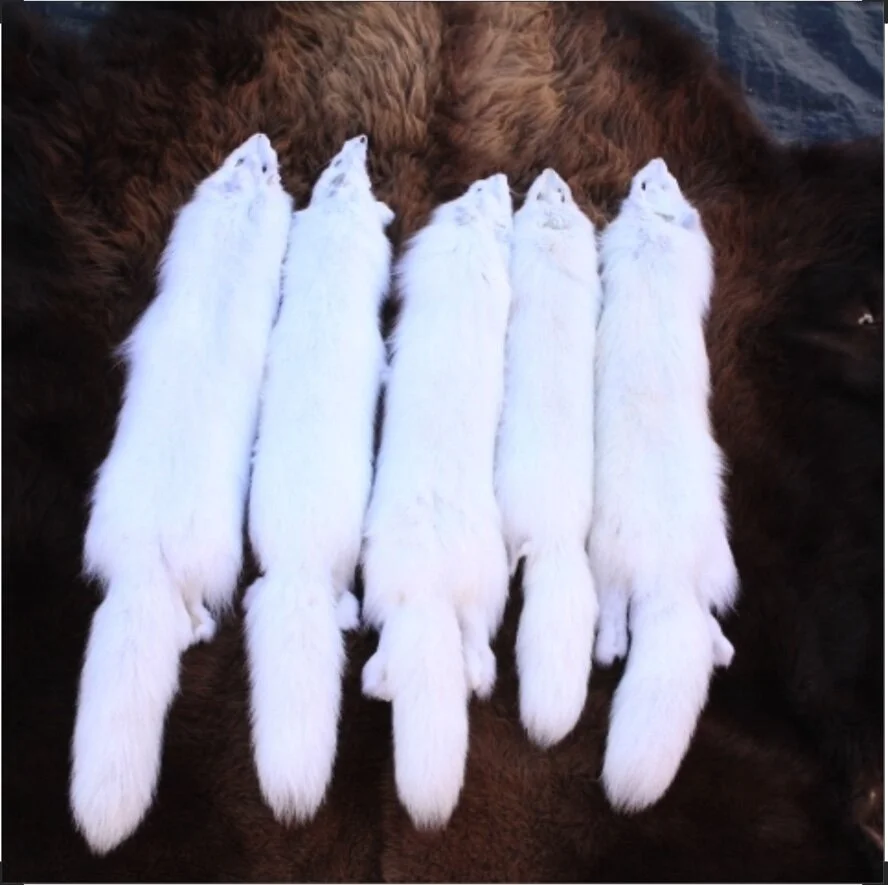 Arctic Fox Fur