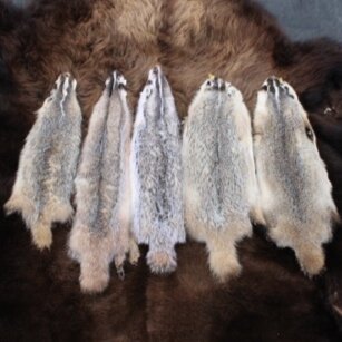 Badger Furs