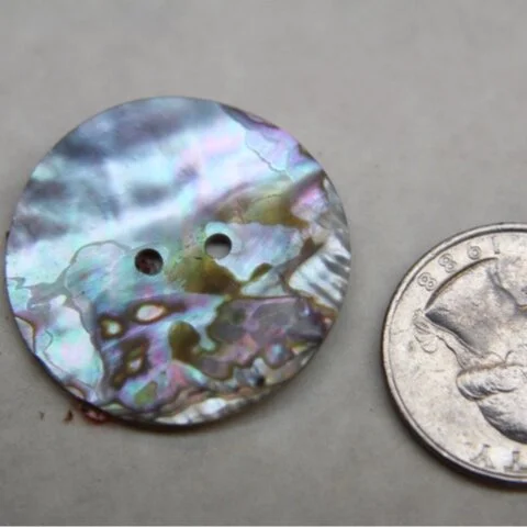 abalone-disc-1.5