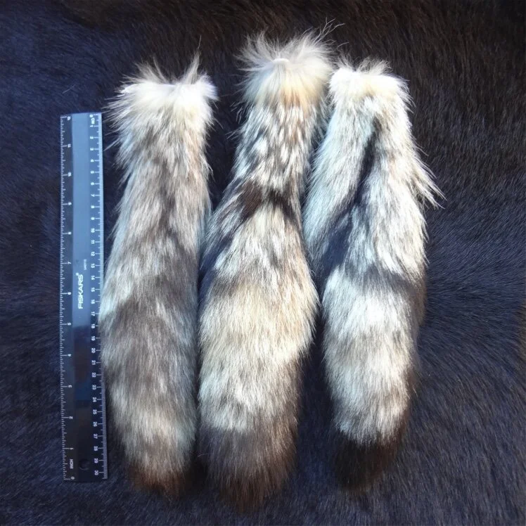 Kit Fox Tail