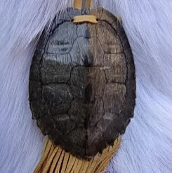 Turtle Pouches