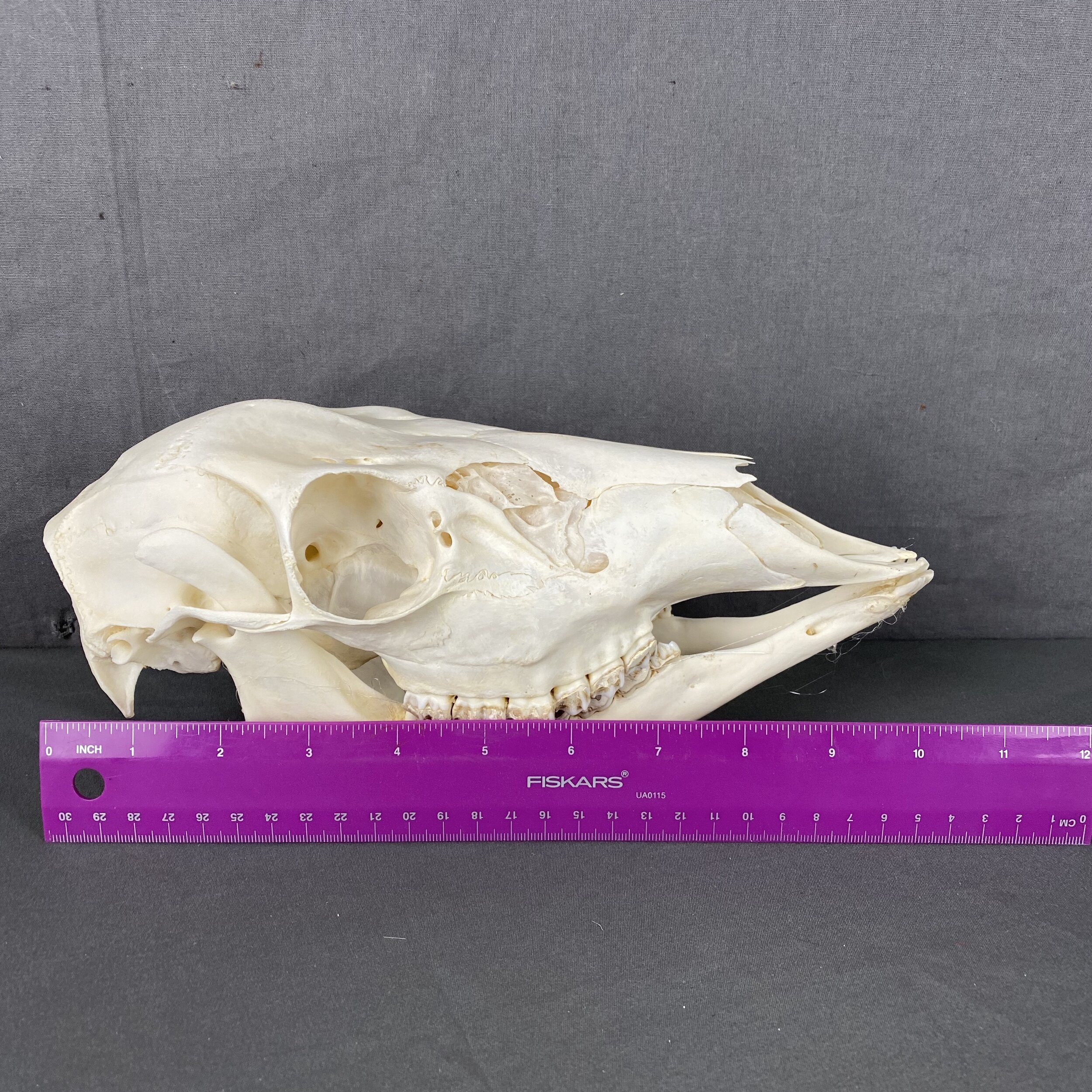 6823CECA-8FD8-4C7A-AC18-BE55B29109E6