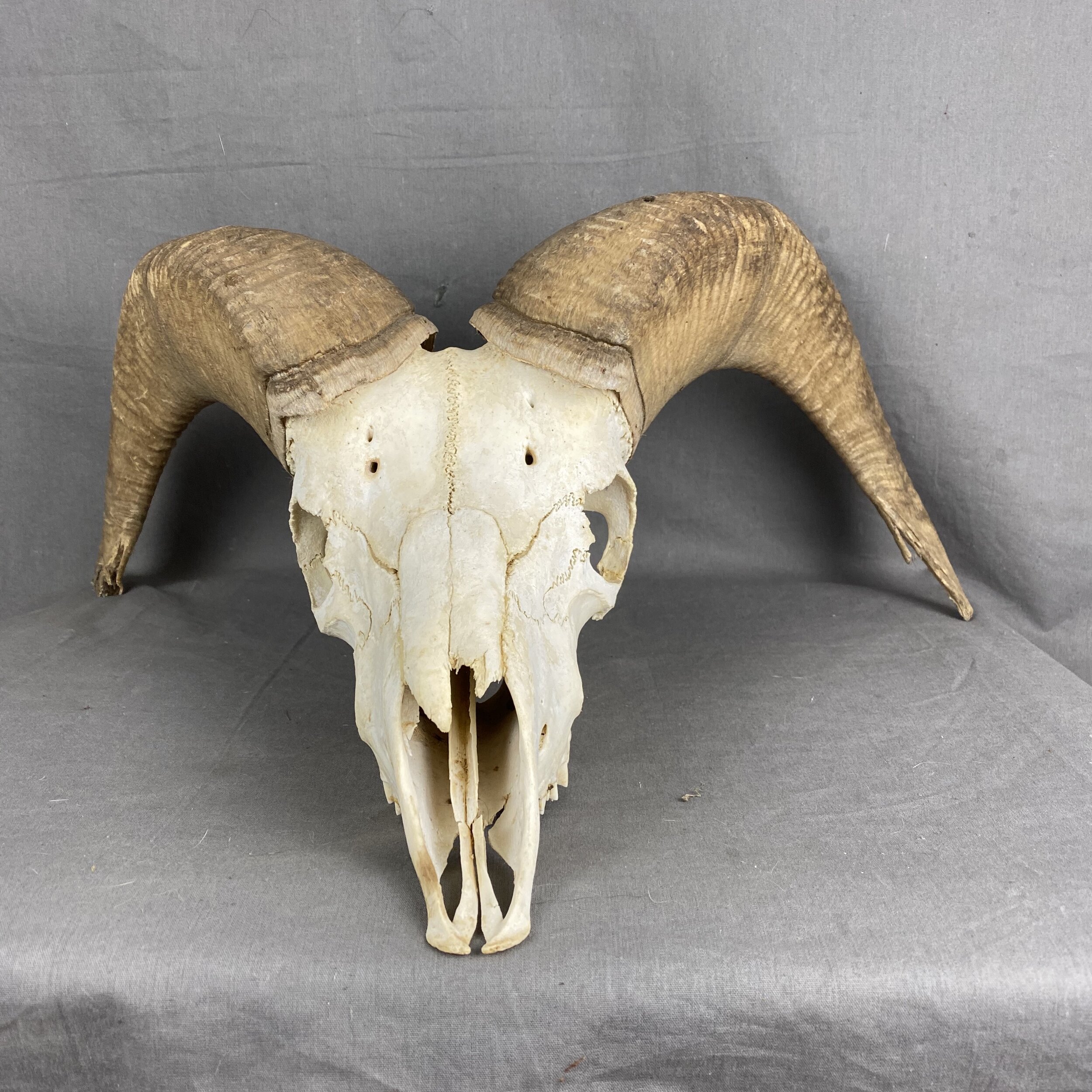 313CD871-8D05-4A2F-B33F-F6EB91AF6F2F