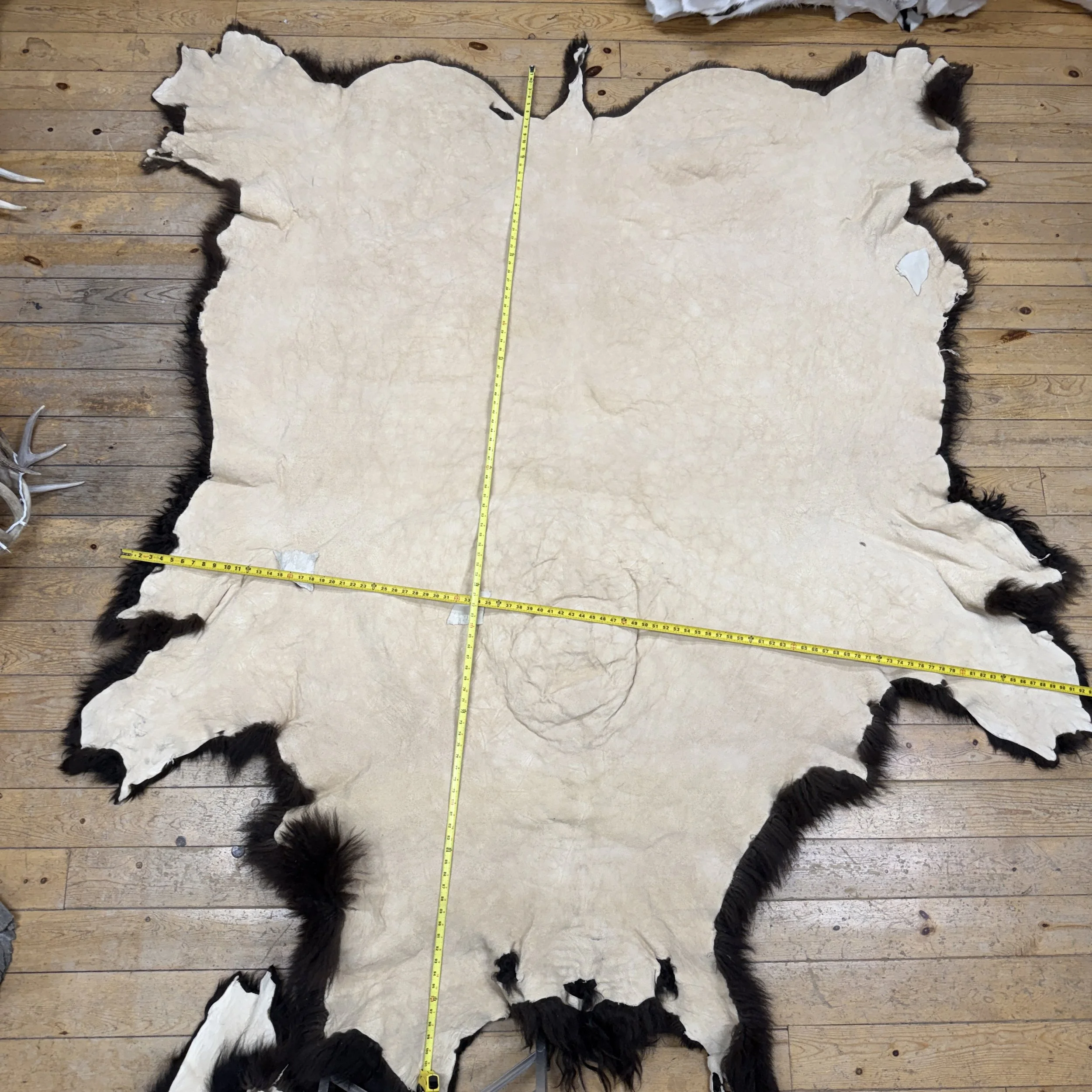 Buffalo Hide