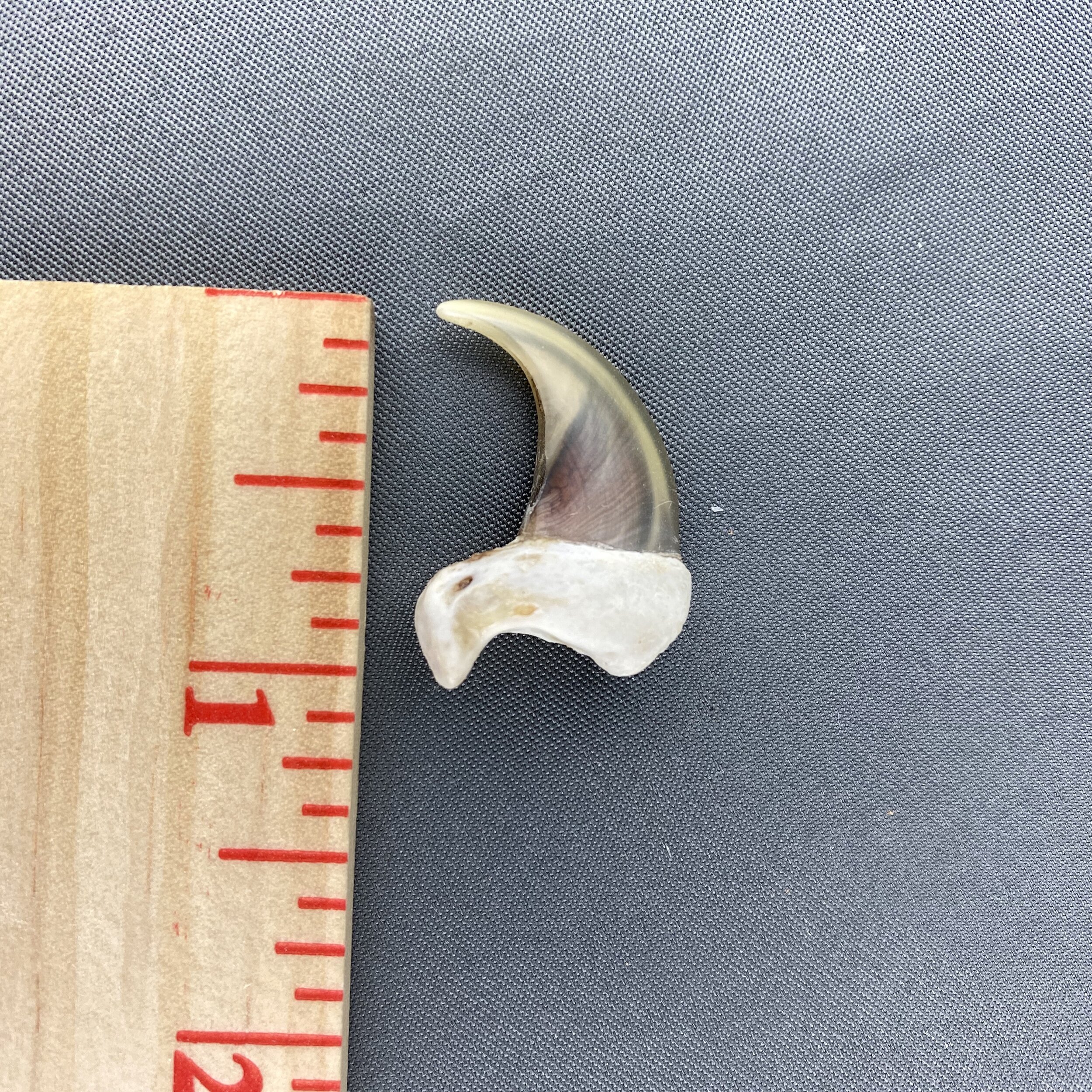 271A0400-03BE-49C1-A5B0-AE556FCEF4B9