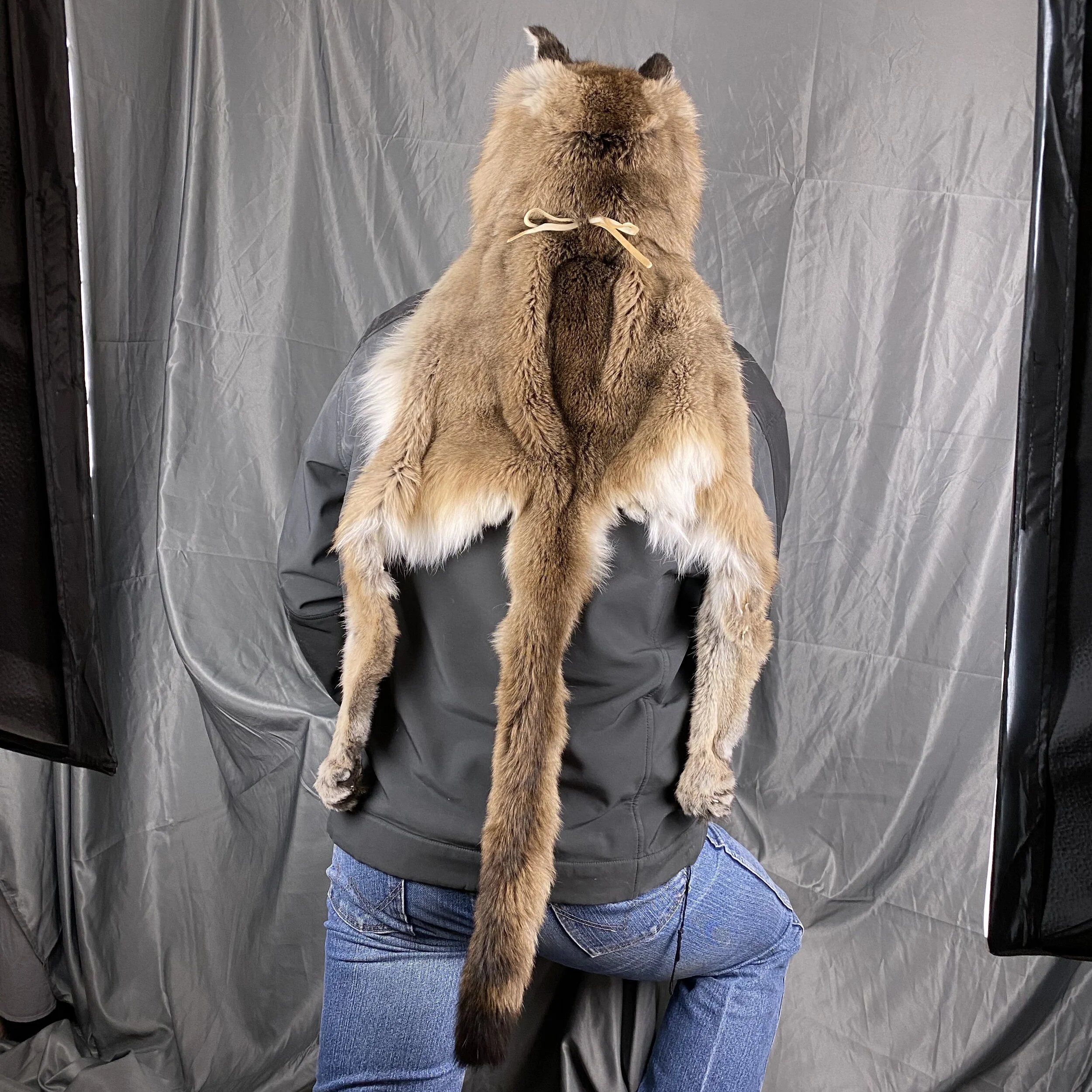 D0752937-0987-4698-9D3C-6B2DA39A57E4