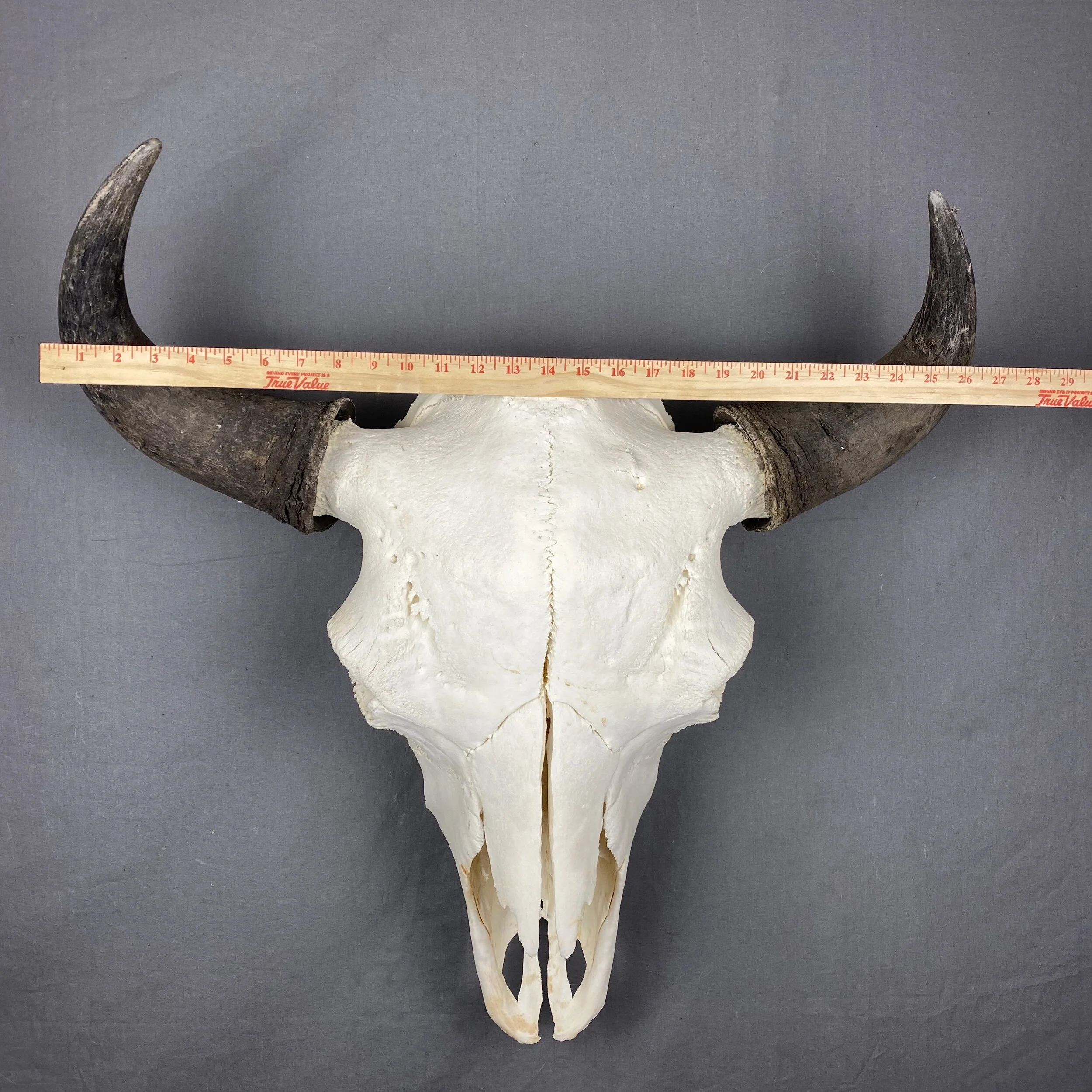 FE6613E4-583C-46C1-BCAA-14BF4C911798