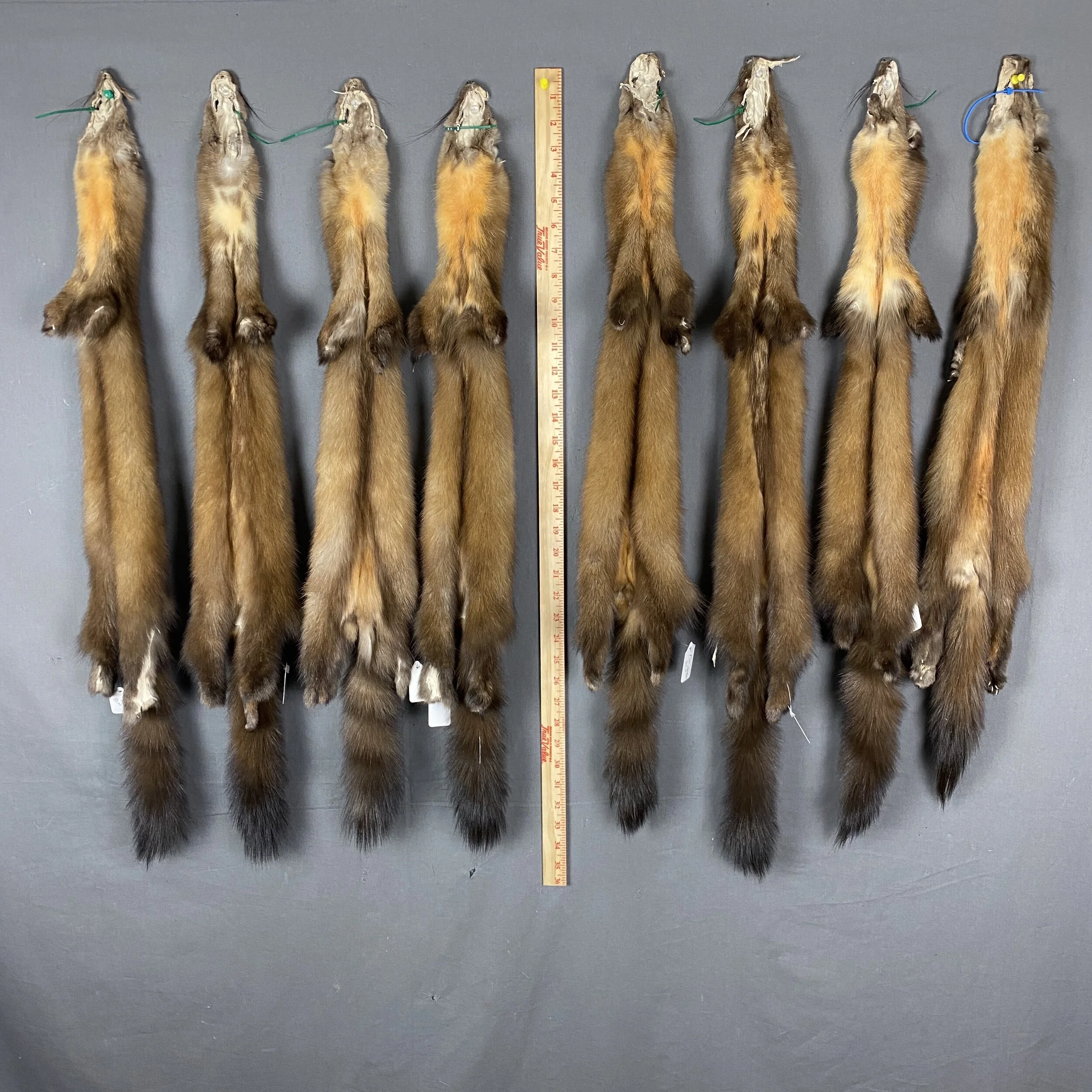 55E4BA88-FC86-40AA-9096-FB4942BF9449