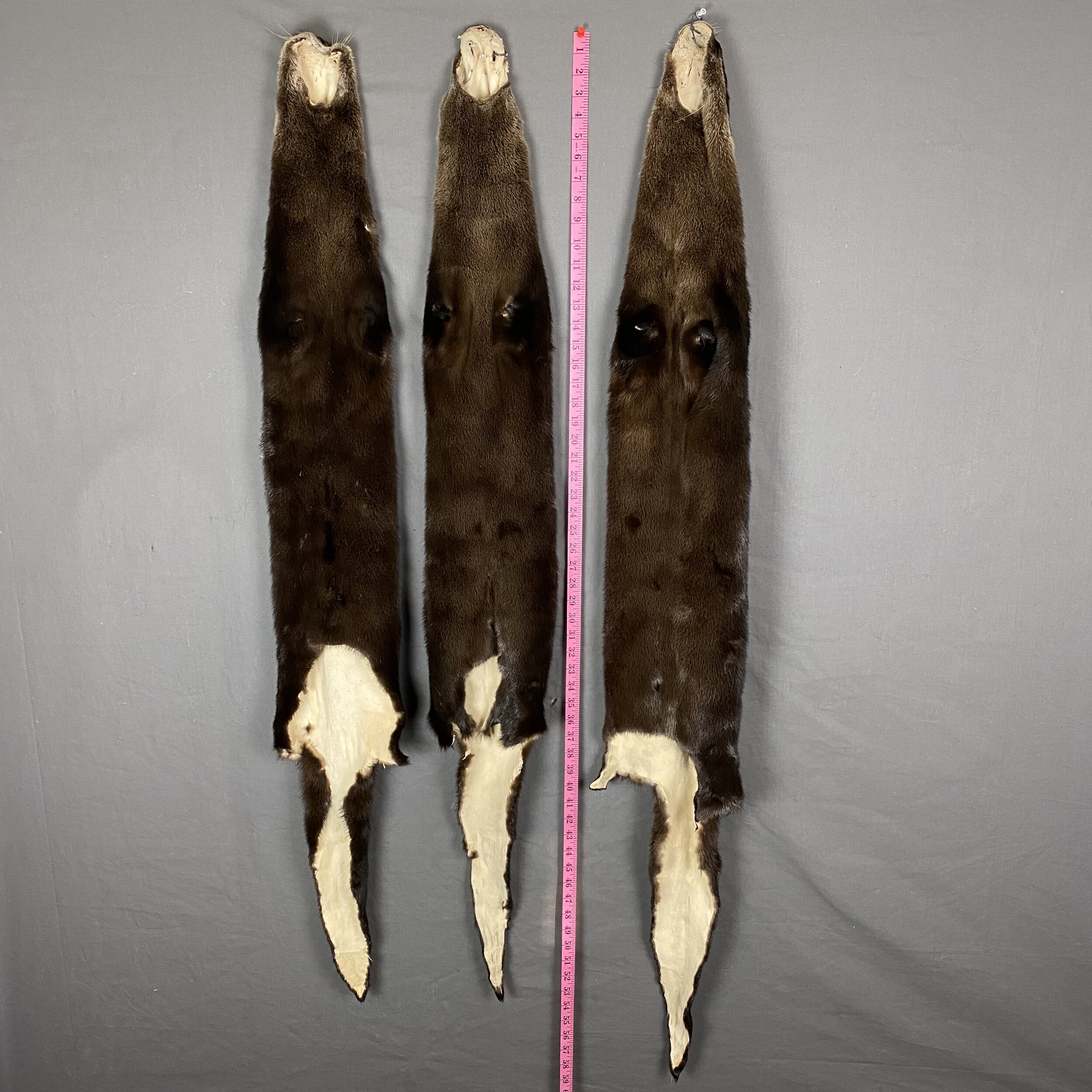 3E6D6C9C-2A79-482B-B3CE-F65F789C73F6