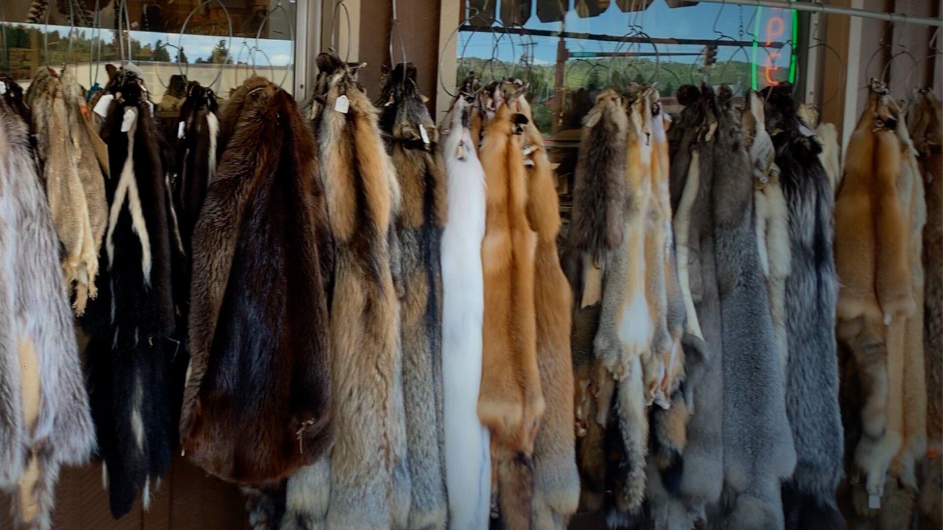 hundreds-of-animal-furs.jpg