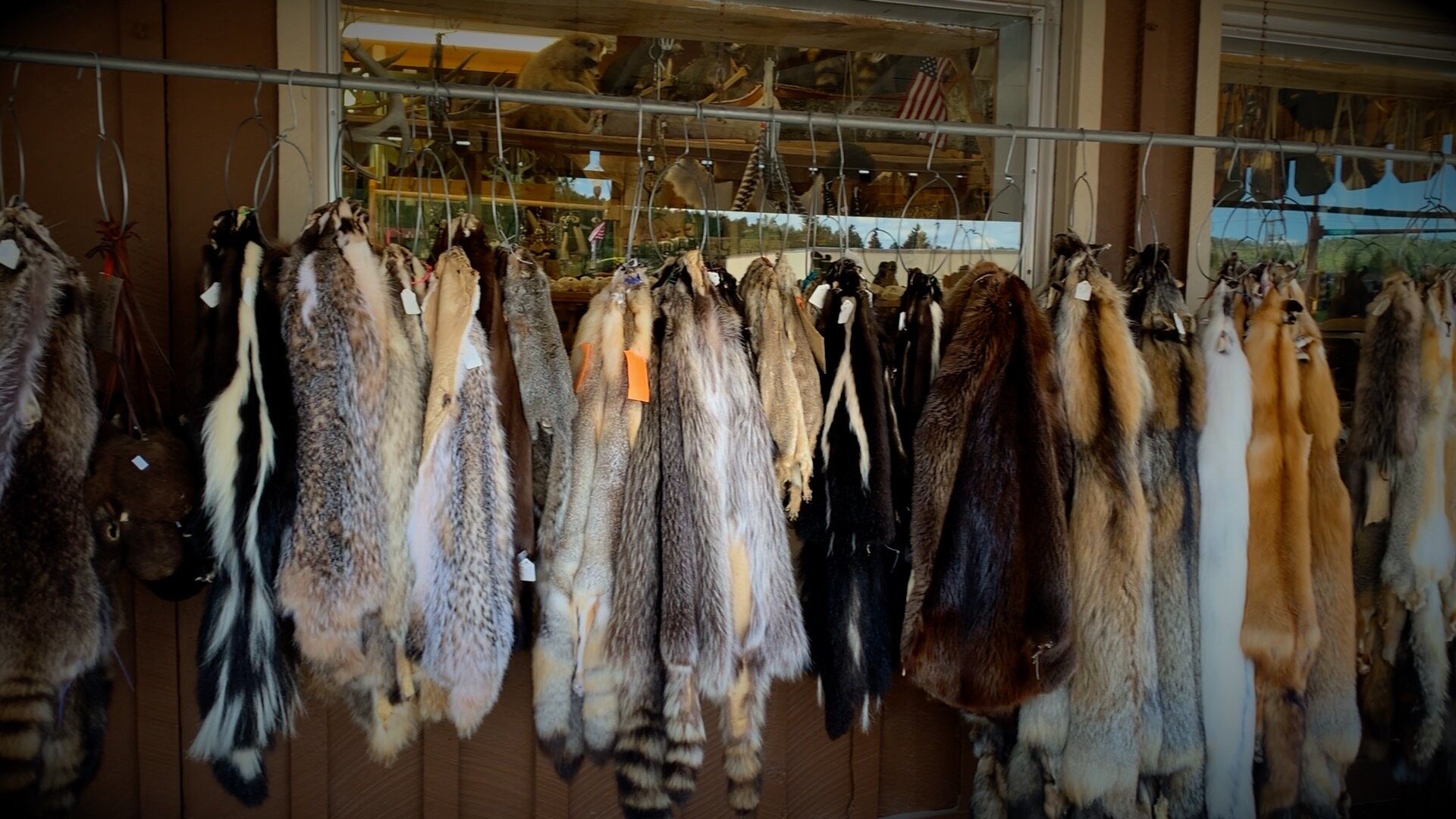 fur-pelts.jpg