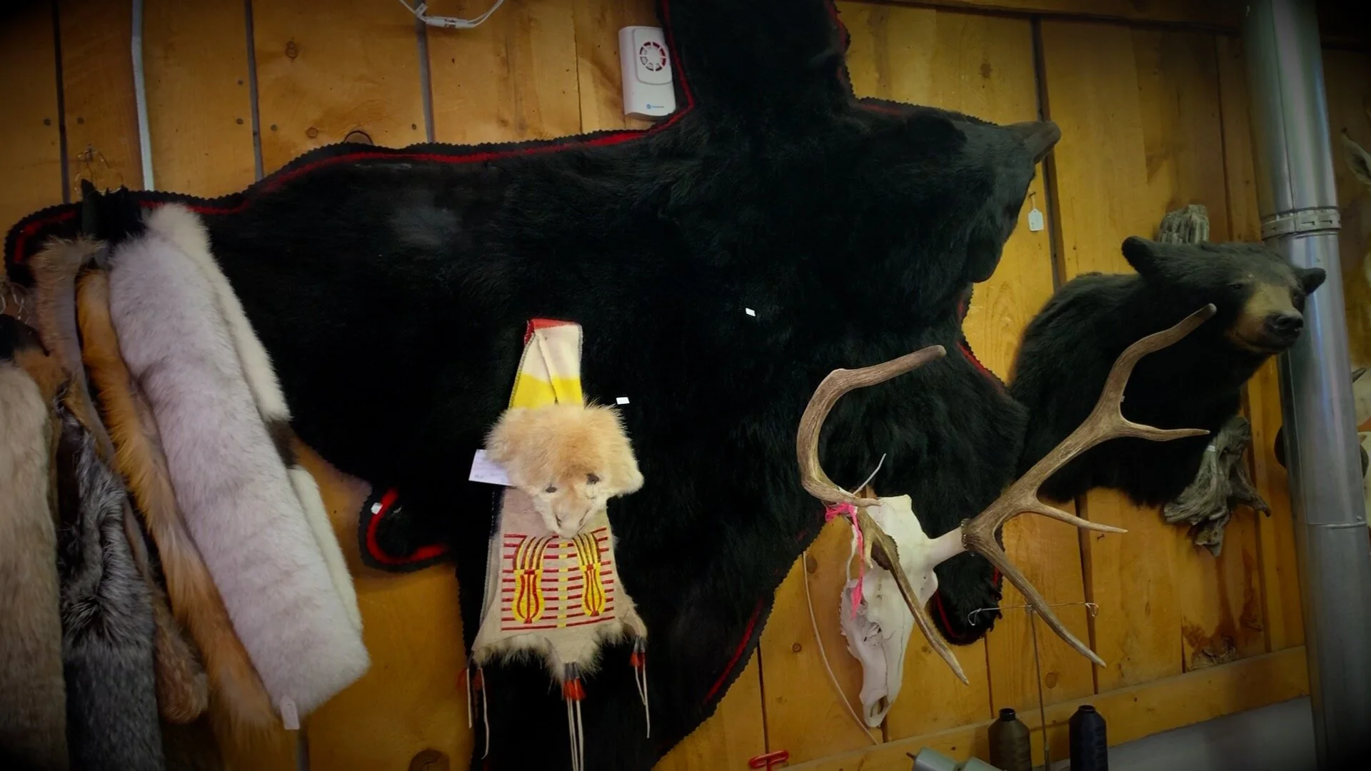 two-bears.jpg